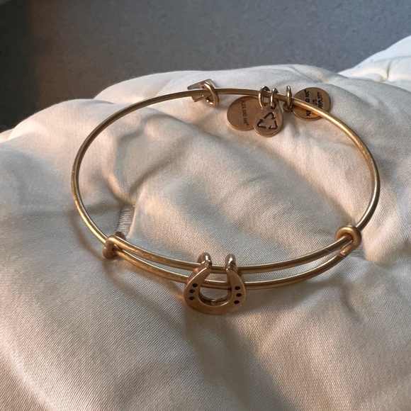 Alex and Ani lucky charm horse shoe bracelet, "Rafaelian Gold®", Nickel-free. - Picture 2 of 6